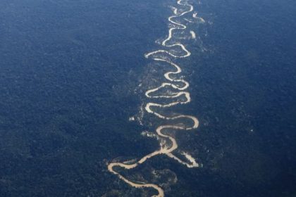 O Fundo tem como objetivo receber doações para prevenção da Amazônia Legal (Foto: Fernando Frazão/Agência Brasil)