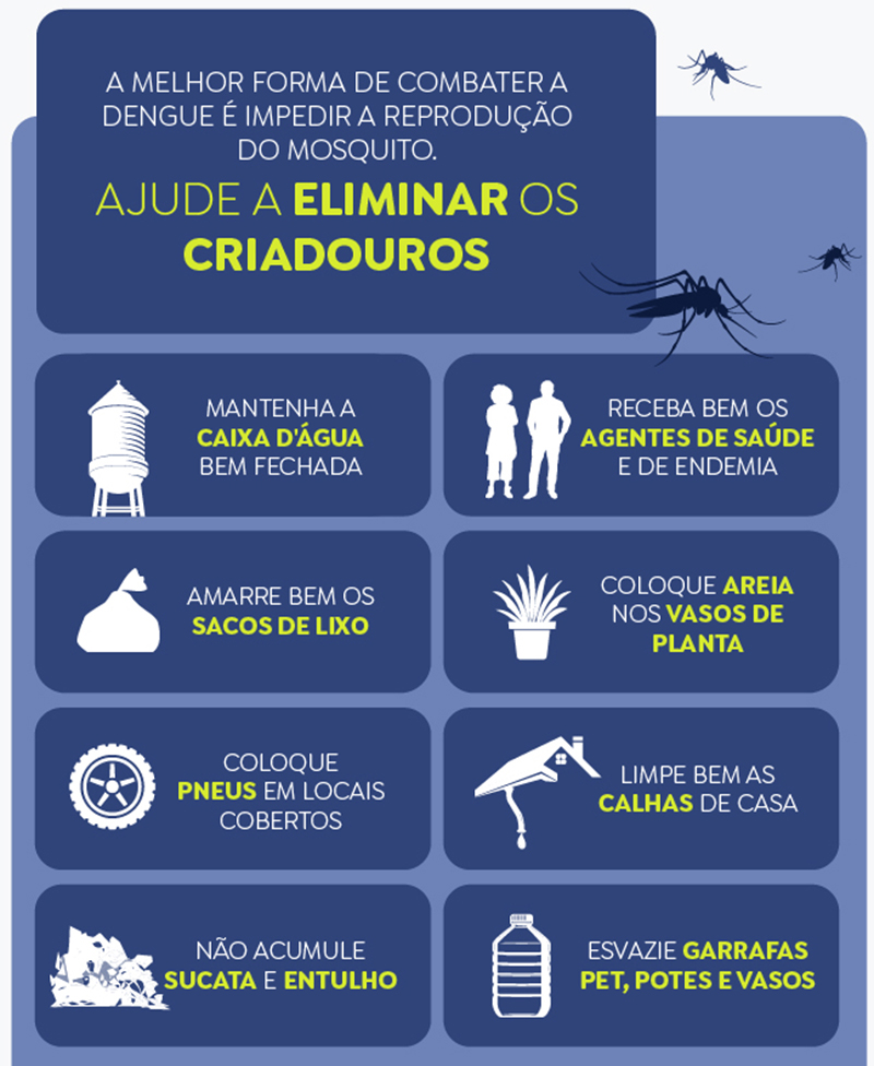 A melhor forma de combater a dengue é impedir a reprodução do mosquito. Foto: Arte/EBC