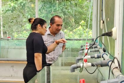 Cooperação inclui desenvolvimento de estudos entre pesquisadores do Amazonas e do Peru (Foto: Girlene Medeiros/FVS)