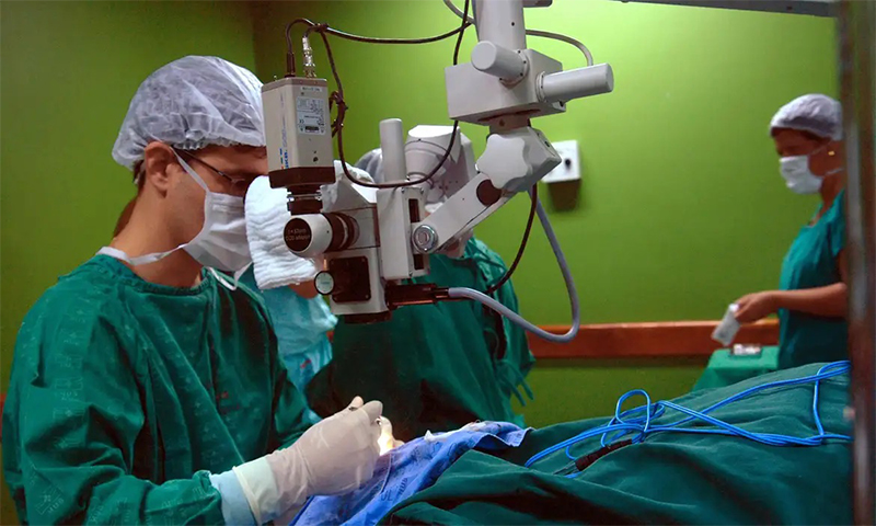 Cirurgia de transplante de órgãos: aplicativo para desburocratizar doação (Foto: Elza Fiúza/ABr)