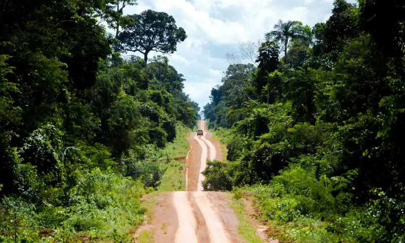 Abertura de estradas na floresta contribui para degradação de biomas (Foto: Marcelo Camargo/ABr)