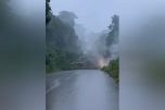 Árvore bloqueou trecho da estrada de acesso ao Paricatuba (Imagem: Rede social/Reprodução)