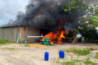 Galpão onde funcionava oficina clandestina foi queimado por agentes do Ibama (Foto: Ibama/Divulgação)
