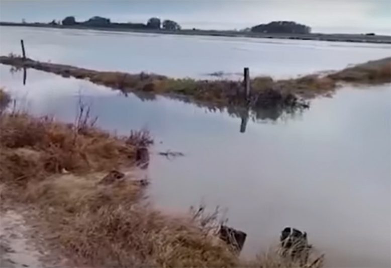 Água encobriu campo preparado para plantio de arroz (Imagem: YouTube/Reprodução)