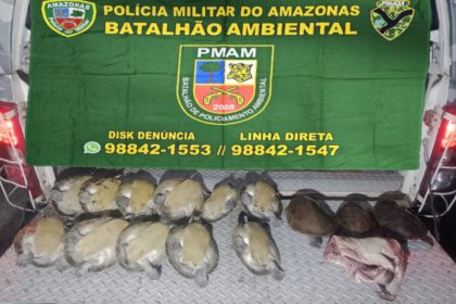 Quelônios apreendidos: crime ambiental (Foto: PMAM/Divulgação)