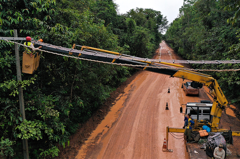 Ponte suspensa na BR-174: passagem para animais sobre a rodovia (Foto: Instituto Ipê/Divulgação)