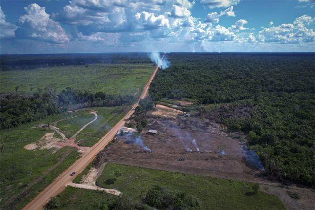 Desmatamento em trecho da BR-319 (Foto: Orlando K. Jr./FAS)
