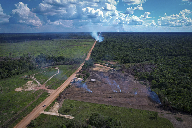 Desmatamento em trecho da BR-319: entidades alertam sobre risco de impacto ambiental (Foto: Orlando K. Jr./FAS)