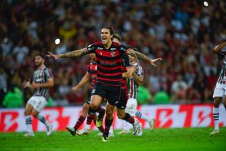 Pedro fez de pênalti o gol da vitória do Flamengo (Foto: Gilvan de Souza/CRF)