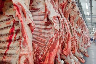 Exportação de carne bovina é recorde pelo segundo mês consecutivo (Foto: Abiec/Divulgação)