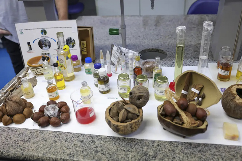 Produtos cosméticos e farmacêuticos desenvolvidos a partir da biodiversidade amazônica (Foto: Fábio Rodrigues Pozzebom/ABr)