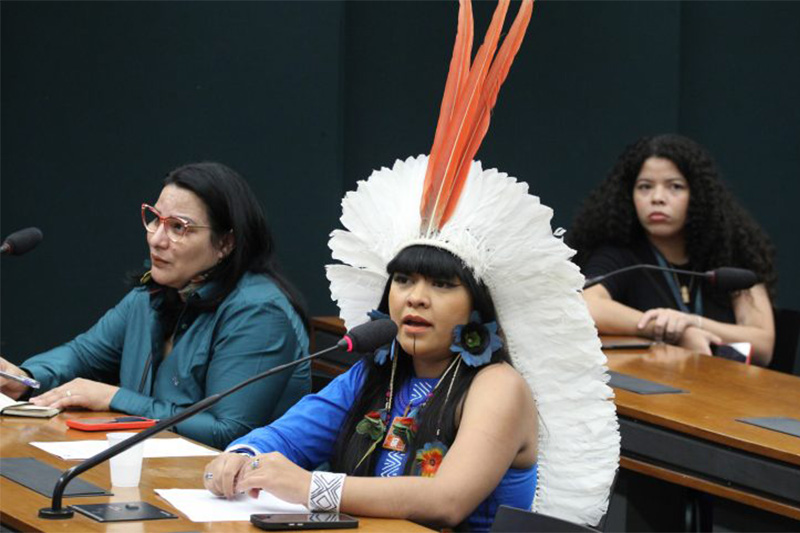 Célia Xakriabá cobrou educação das crianças indígenas (Foto: Vinícius Loures/Agência Câmara)