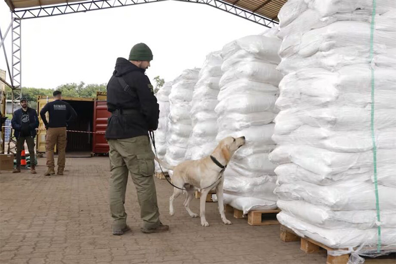 Cocaína estava escondida em sacos de açúcar (Foto: Senad Paraguai/Divulgação)