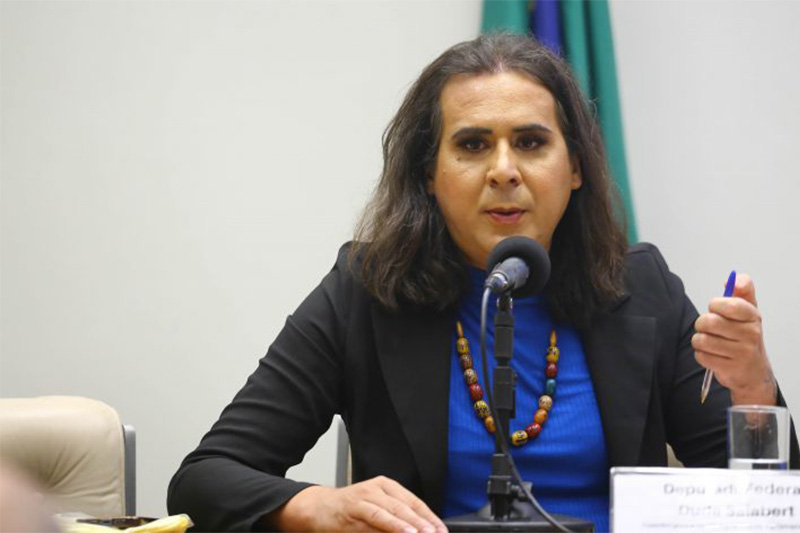 Deputada Duda Salabert  apresentou o projeto de lei sobre Visão Zero (Foto: Vinicius Loures/Da Agência Câmara)