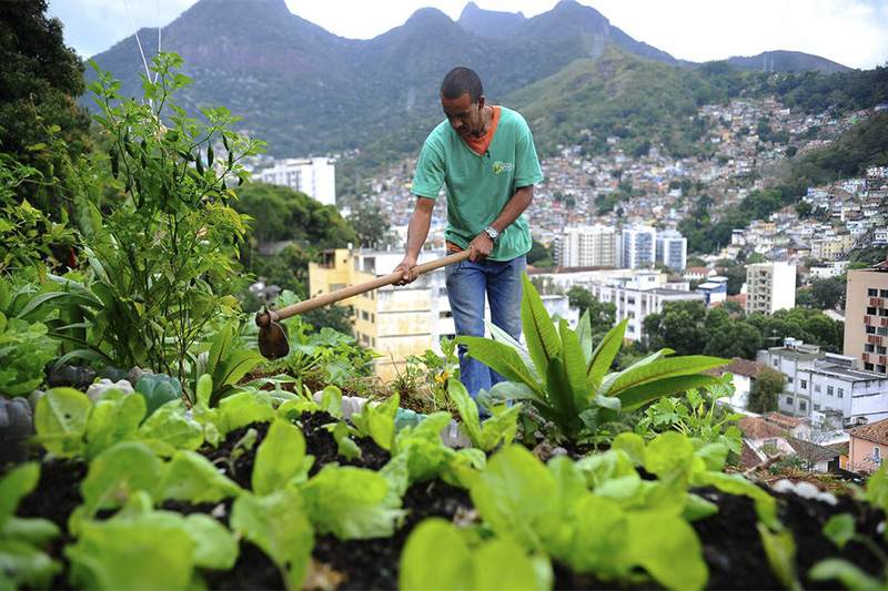 Horta urbana: produção de alimentos nas cidades depende de incentivos federais, estaduais e municipais (Foto: Tomaz Silva/ABr)