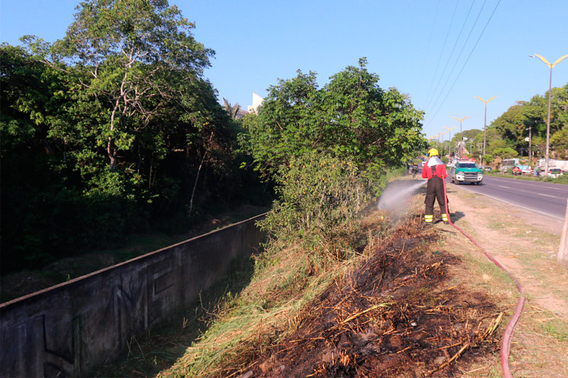 Incêndio em vegetação próximo à avenida de Manaus: ocorrências diárias (Foto: Valter Calheiros/Divulgação)