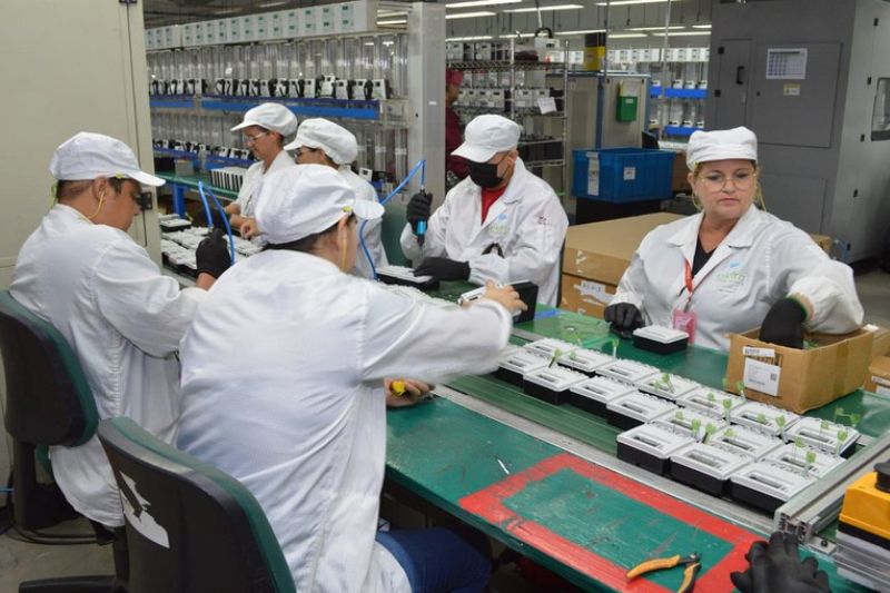 Com investimento de R$ 70 milhões, a nova fábrica terá uma área de 18 mil metros quadrados e criará mais de 600 empregos (Fotos: Divulgação/Livoltek e Divulgação/Suframa)