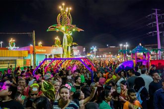 Parque Gigantes da Floresta