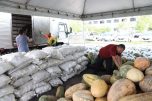 Produtos comprados da agricultura familiar (Foto: Divulgação/Sepror)