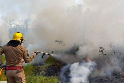 O incêndio ocorreu próximo ao aeroporto do município (Foto: Divulgação/Corpo de Bombeiros)