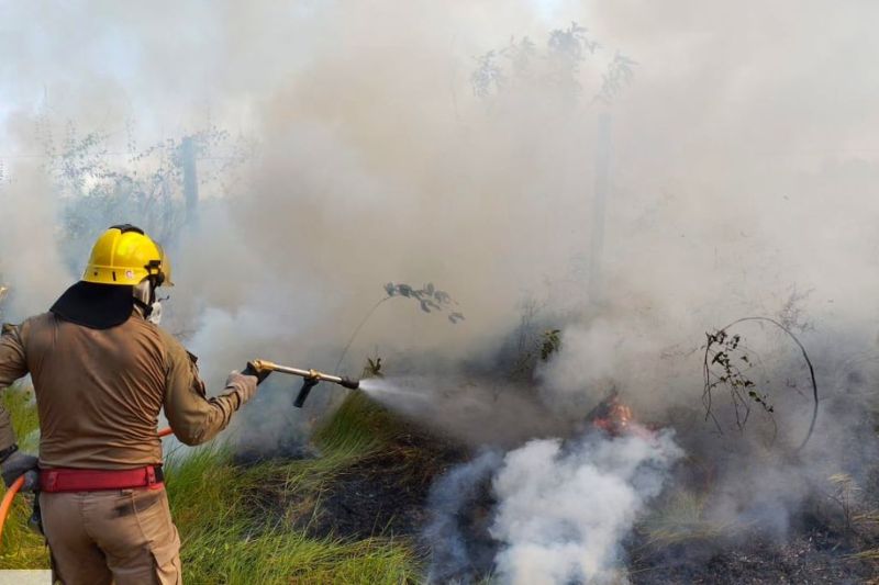 O incêndio ocorreu próximo ao aeroporto do município (Foto: Divulgação/Corpo de Bombeiros)