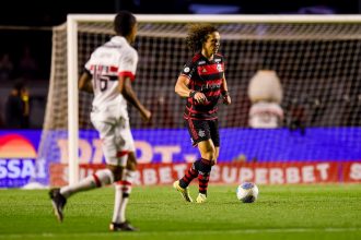 David Luiz em lance de jogo: Flamengo foi superado pelo São Paulo (Foto: Marcelo Cortes/CRF)