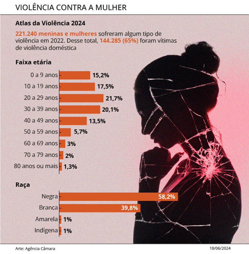 Violência contra a mulher gráfico
