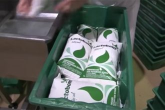 Leite argentino: empresários do Brasil alegam concorrência desleal (Imagem: Agro News/YouTube)