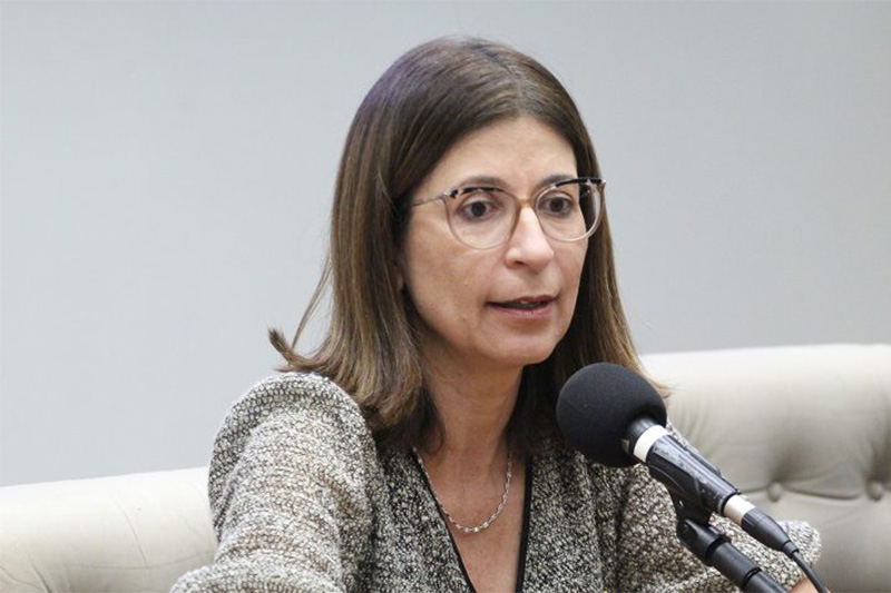 Raquel Branquinho: No adiante ter leis se no esto casadas com a poltica (Foto: Vinicius Loures/Agncia Cmara)