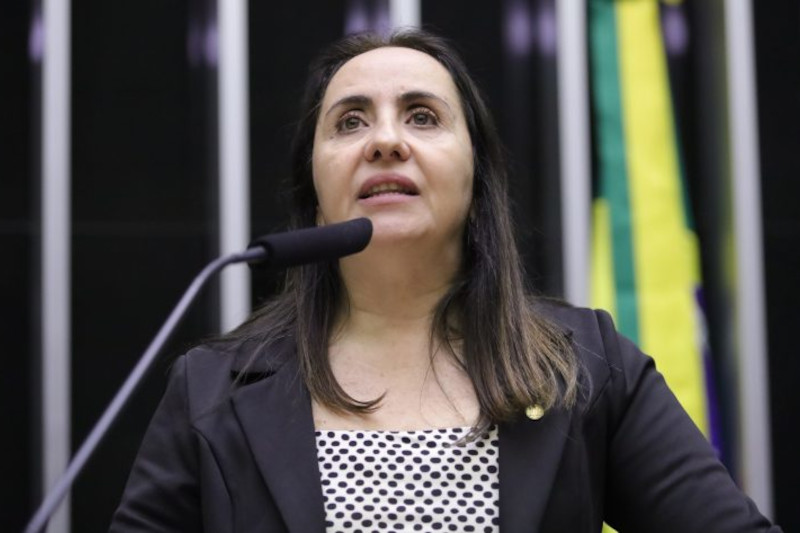 Deputada Adriana Ventura:  preciso reduzir os privilgios aos criminosos (Foto: Mario Agra/Agncia Cmara)