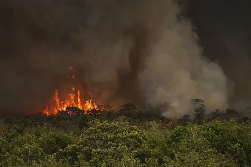 Incndio no Parque Nacional de Braslia; destruio e prejuzo bilionrio no pas (Foto: Marcelo Camargo/ABr)