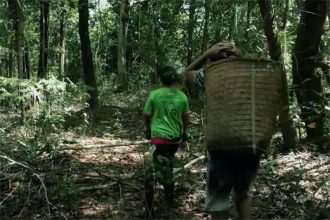 Indígenas Parintintin vivem da coleta, caça e pesca e querem manter território preservado (Imagem: Agência Pública/YouTube)