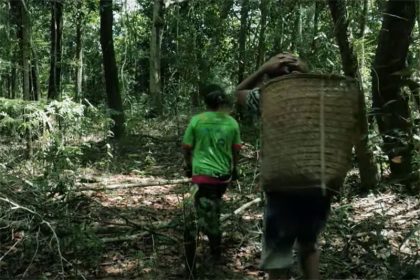 Indígenas Parintintin vivem da coleta, caça e pesca e querem manter território preservado (Imagem: Agência Pública/YouTube)