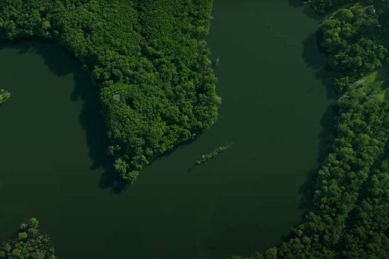 rea da Floresta Amaznica em territrio de Ipixuna: indgenas Parintitin negociam crdito de carbono (Imagem: Agncia Pblica/YouTube)