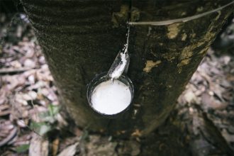 Extrativistas relatam dificuldade para conseguir o kit seringa para extrair o látex (Foto: OBS BR-319/Divulgação)