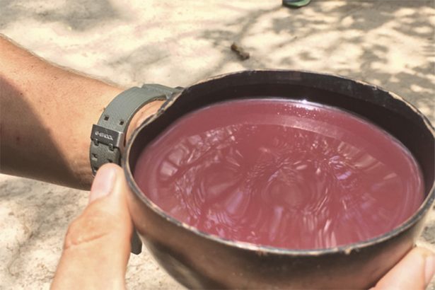 Açaí: 90% da agregação de valor ao produto ocorre fora da Amazônia (Foto: Iolanda Ventura/AM ATUAL)