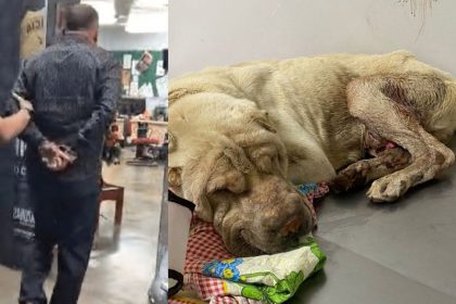 Marcos André Pardo foi quem abandonou o cachorro e recebeu R$ 50 pelo serviço, informou a delegada (Foto: Divulgação/PC-AM)