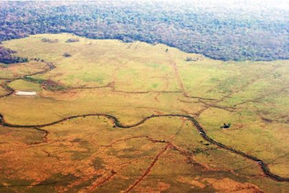 Área na Bolívia em que arqueólogos descobriram vestígios de civilização antiga: ocupação humana na Amazônia (Foto: Umberto Lombato/Divulgação)