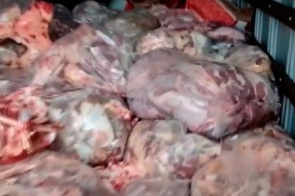 Carne estragada