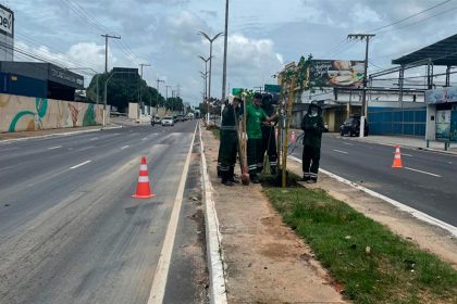 Prefeitura de Manaus diz que meta é plantar 15 mil árvores em 2025