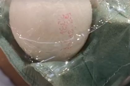 Carimbo não será mais necessário em ovos (Imagem: YouTube/Reprodução)