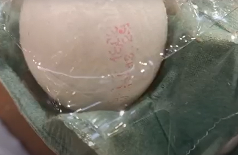 Carimbo não será mais necessário em ovos (Imagem: YouTube/Reprodução)