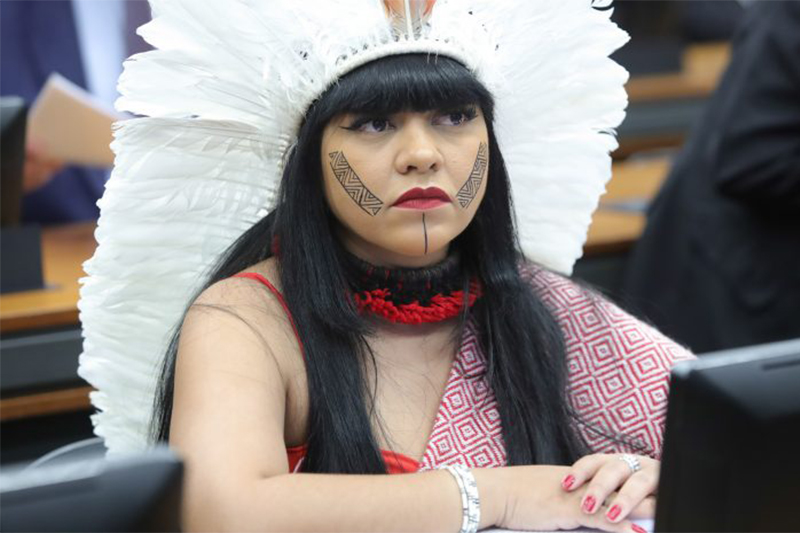 Célia Xakriabá defende uso de elementos de pertencimento de povos tradicionais em fotos oficiais (Foto: Mário Agra/Agência Câmara)