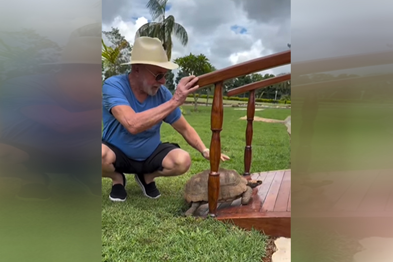 Presidente Lula com jabuti da residência oficial da presidência: ovos do quelônio na dieta (Imagem: Instagram/Reprodução)