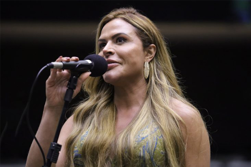 Deputada Silvye Alves apresentou projeto sobre bacharel em direto condenado por violência contra a mulher (Foto: Mario Agra/Agência Câmara)