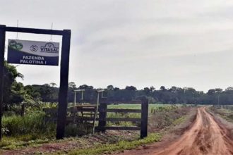 Parte das terras ocupadas por agricultores e extrativistas é da Fazenda Palotina em Lábrea. Incra afirma que caso é de grilagem (Foto: DPE-AM/Divulgação)