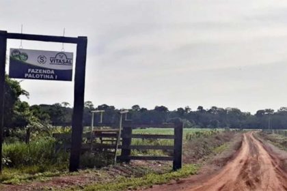 Parte das terras ocupadas por agricultores e extrativistas é da Fazenda Palotina em Lábrea. Incra afirma que caso é de grilagem (Foto: DPE-AM/Divulgação)