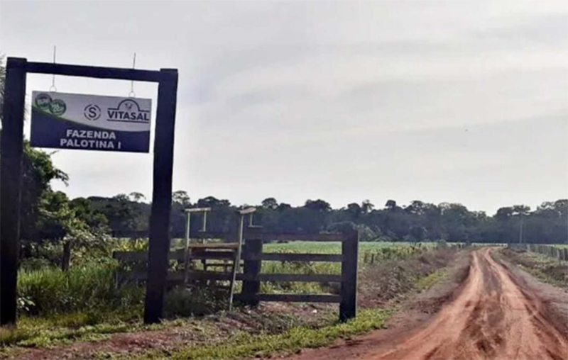 Parte das terras ocupadas por agricultores e extrativistas é da Fazenda Palotina em Lábrea. Incra afirma que caso é de grilagem (Foto: DPE-AM/Divulgação)