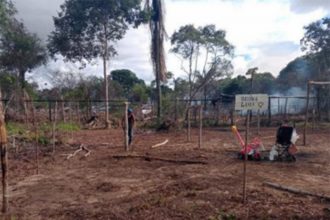 Área desmatada e invadida em Parintins: TJAM pede investigação sobre desapropriações forçadas (Foto: TJAM/Divulgação)