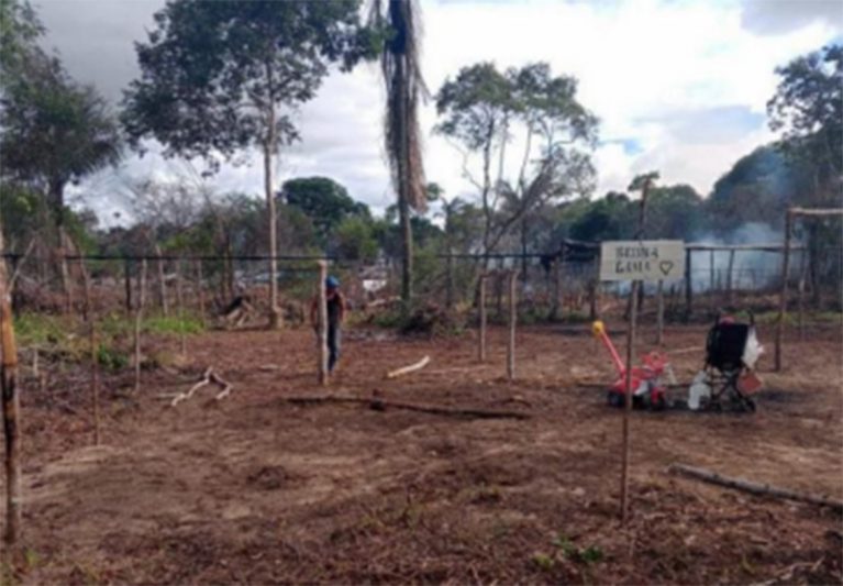 Área desmatada e invadida em Parintins: TJAM pede investigação sobre desapropriações forçadas (Foto: TJAM/Divulgação)